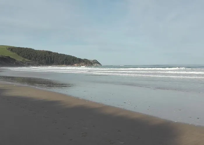 Sofia מלון דירות